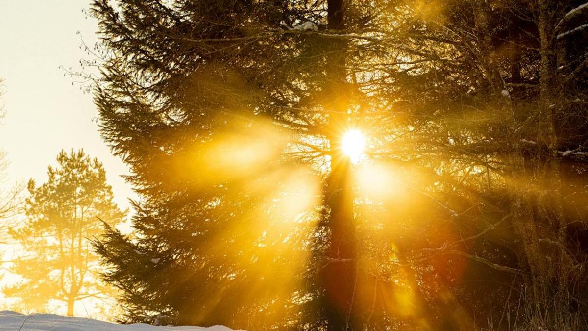 pexels-friededia-30649290_05248200