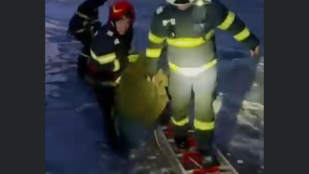 pompieri-misiune-gura-humorului_15582500