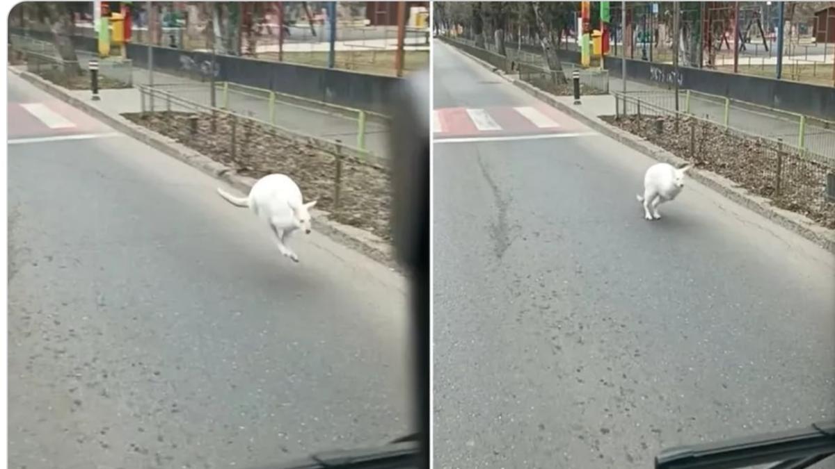 ea7a8836-45ed-4548-b317-f3dead07b22e_10395200