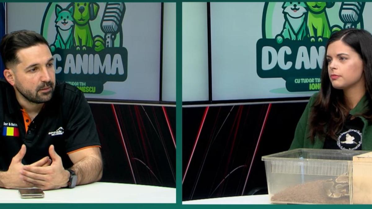 tudor-tim-oana-vasiliu1_17496600