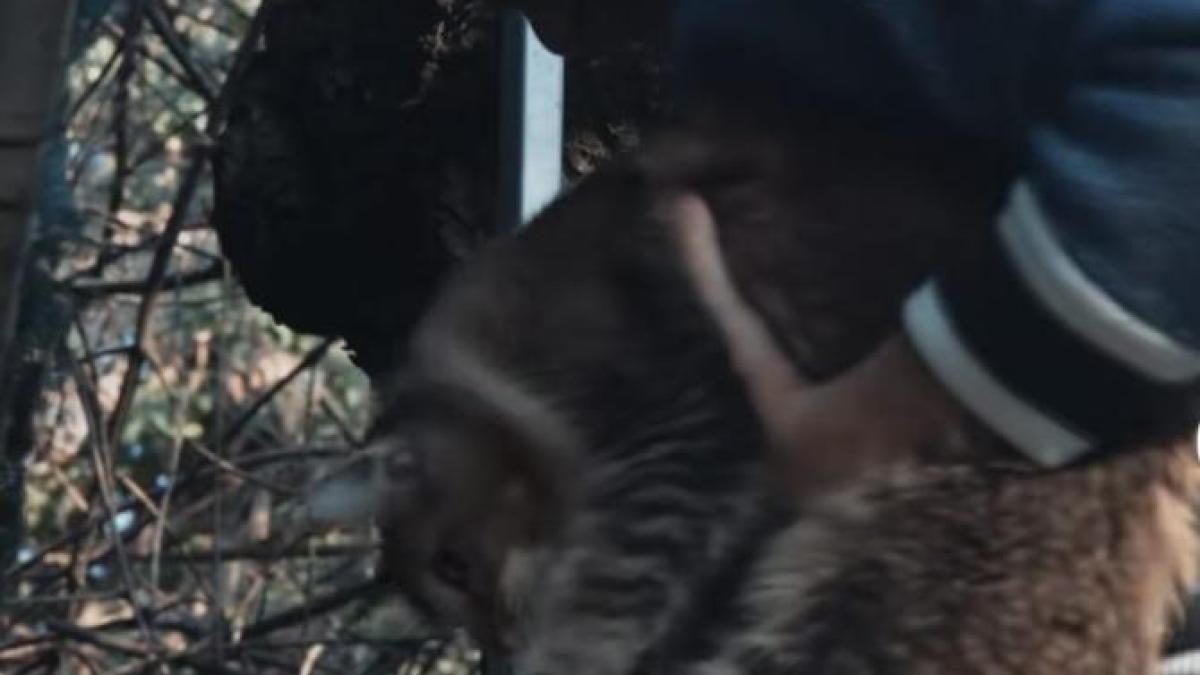 whatsapp-image-2025-02-15-at-18-05-21_66392600