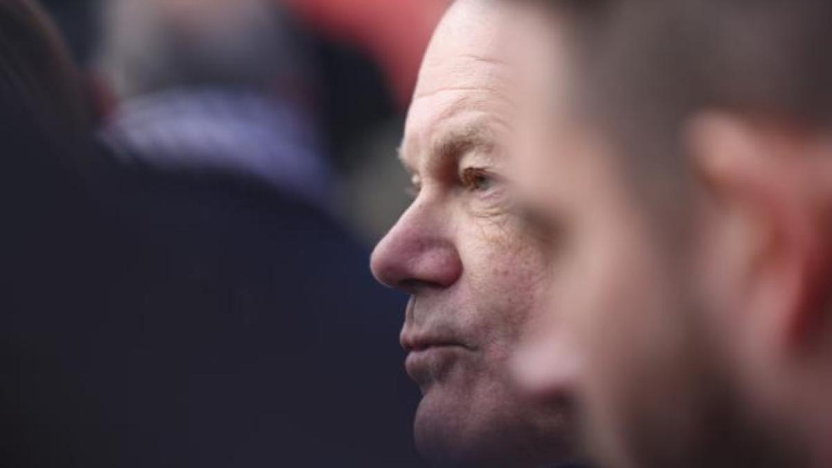 olaf-scholz_51534400