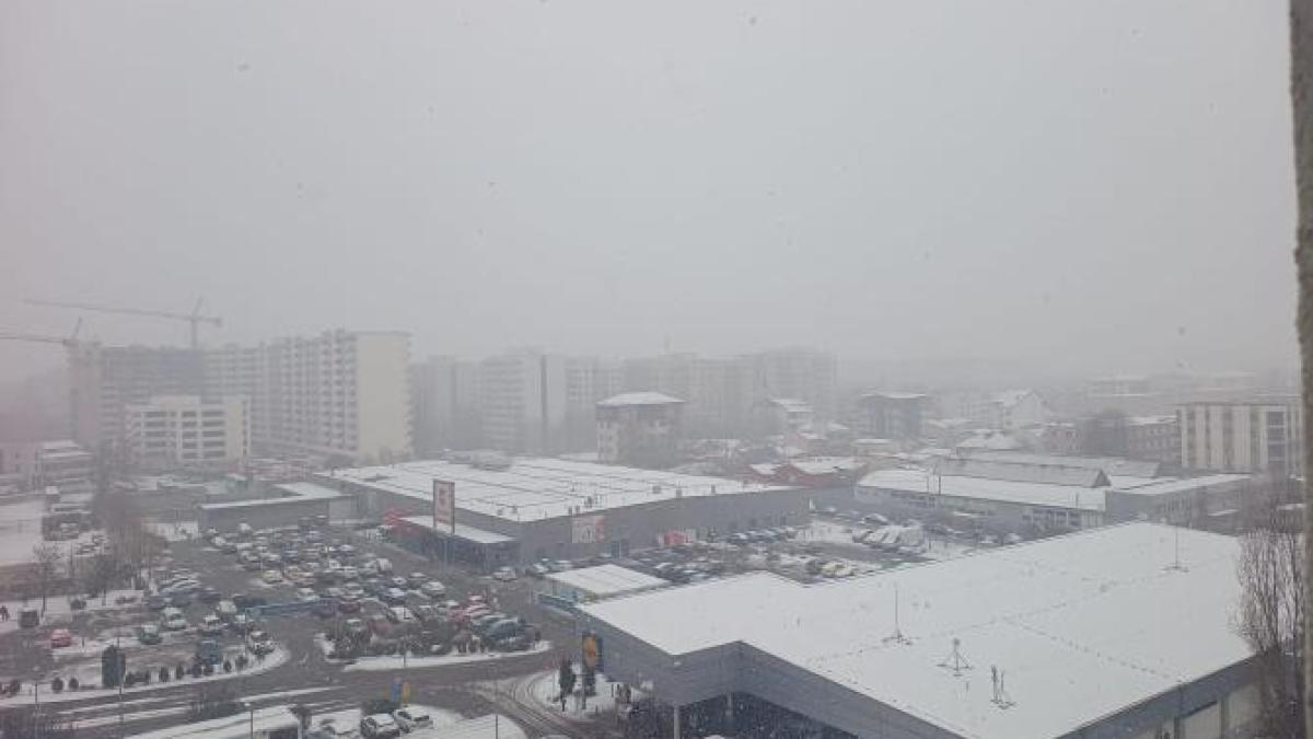 whatsapp-image-2025-02-16-at-10-10-37_87082300