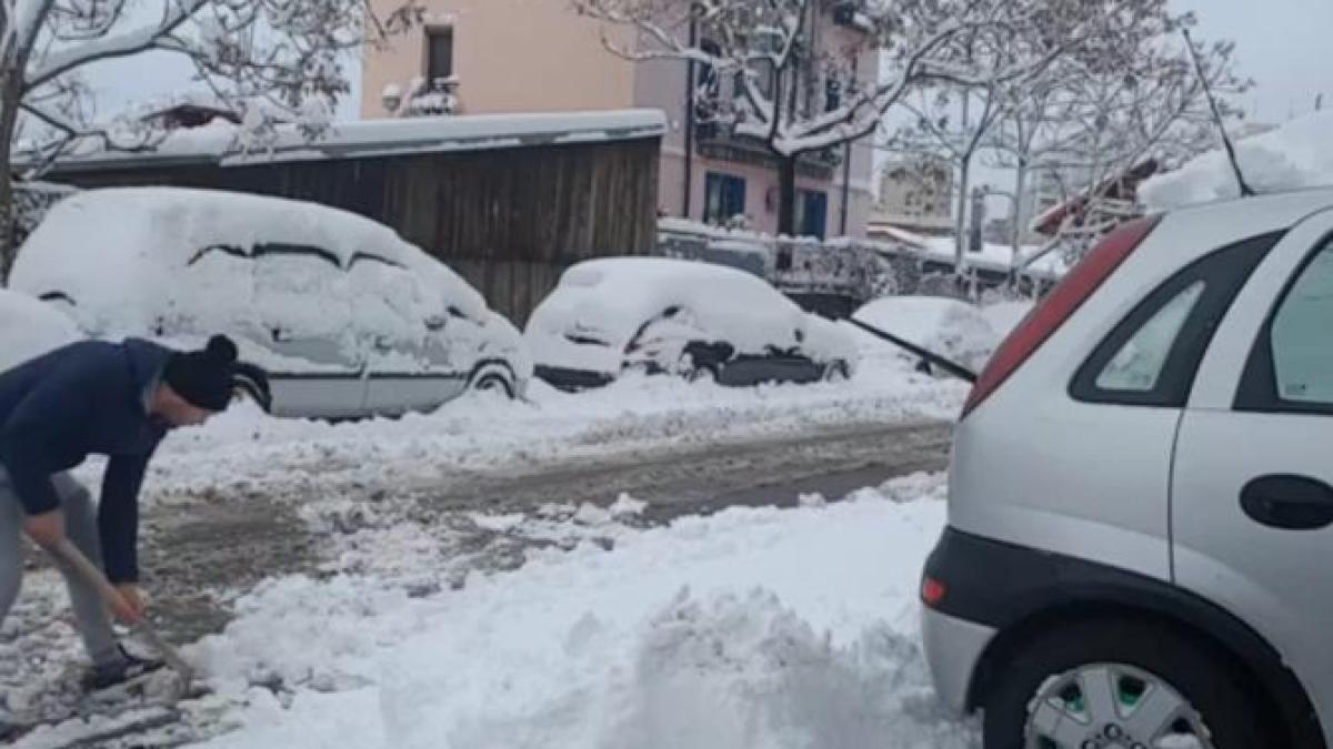 deszapezire-masina-amenzi_51864800