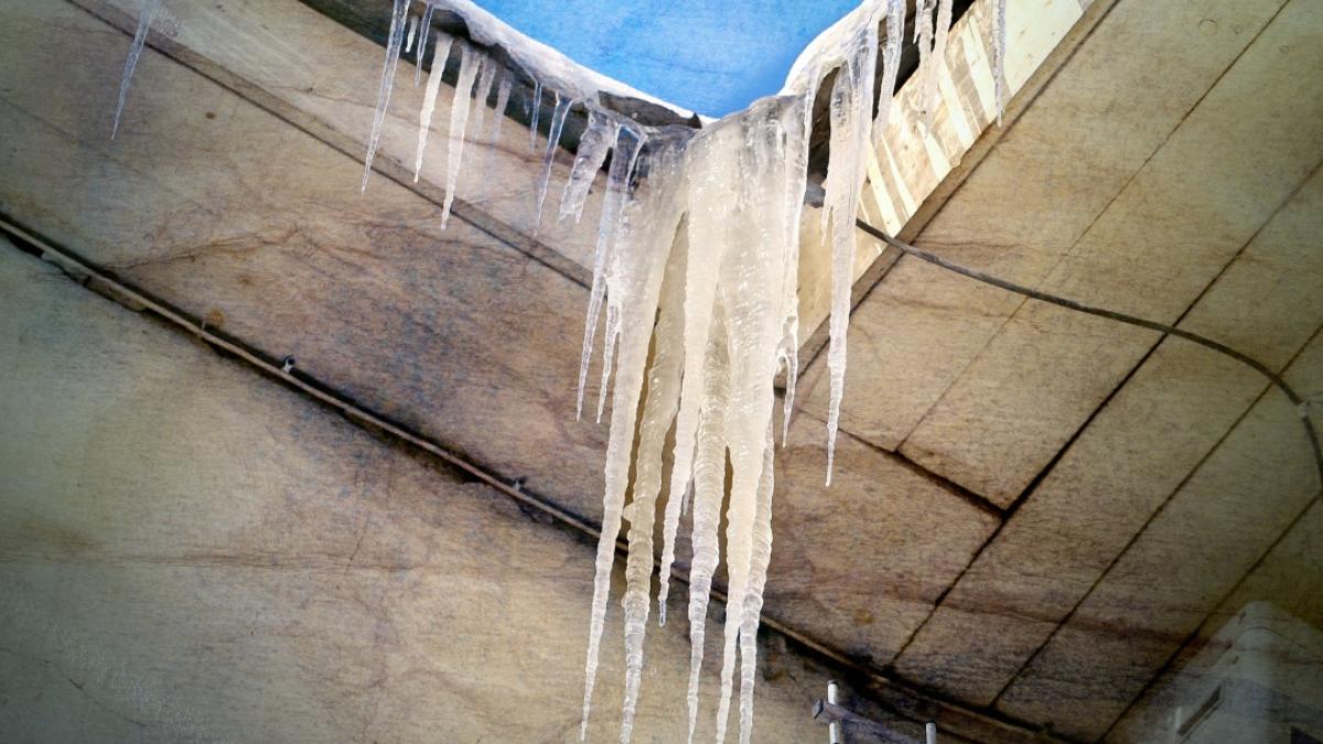 igsu-avertisment-romani_83874700