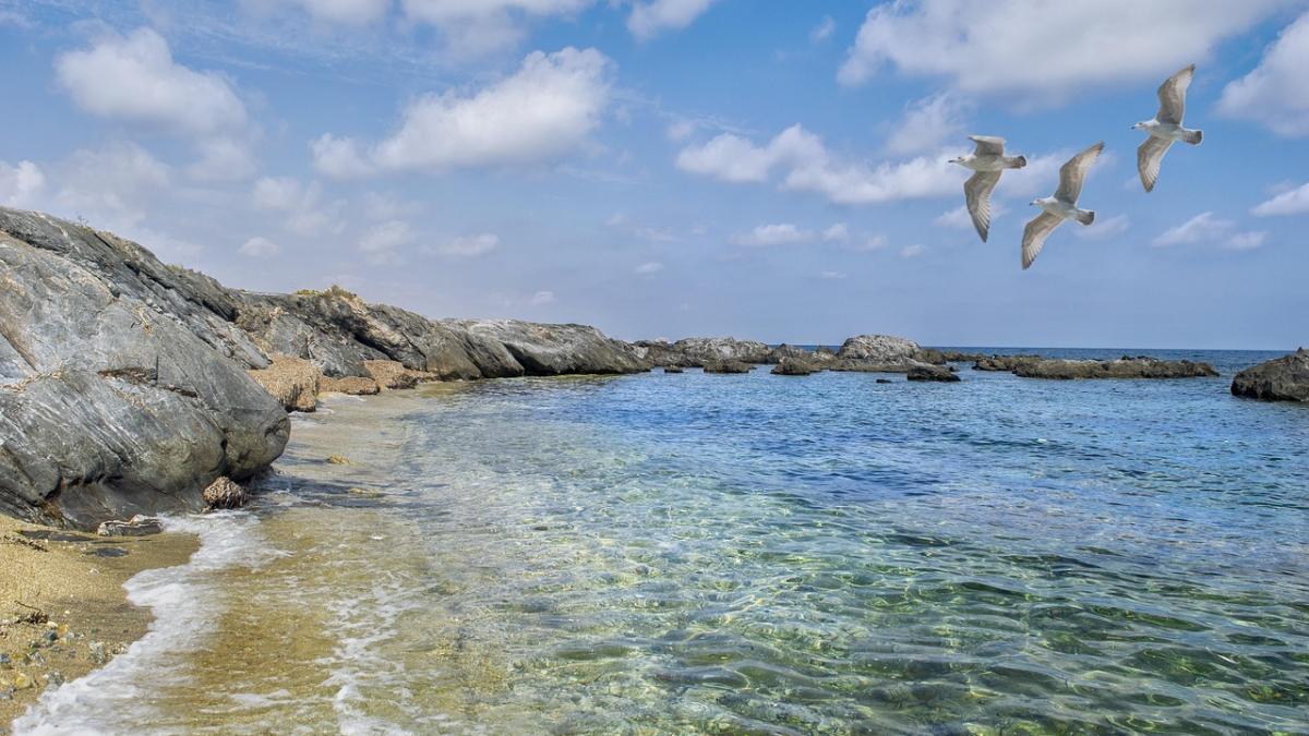 insula-chirie-50-de-euro_22909700