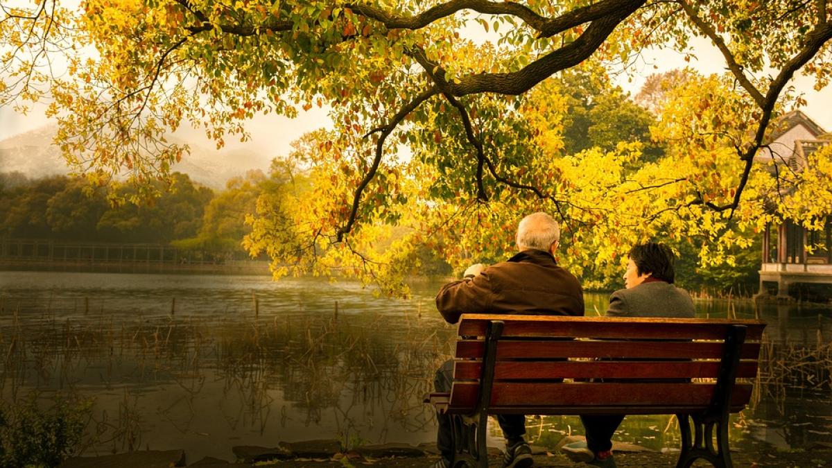 lakefront-5650860_960_720_77564400