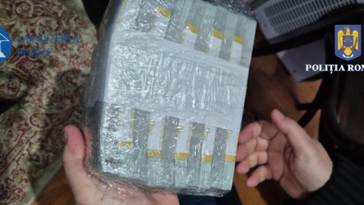 bani-potra-3_95057500