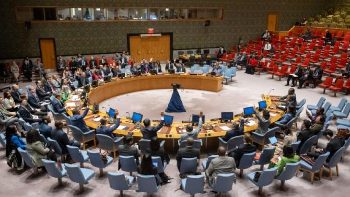 consiliul-de-securitate-onu_47610700