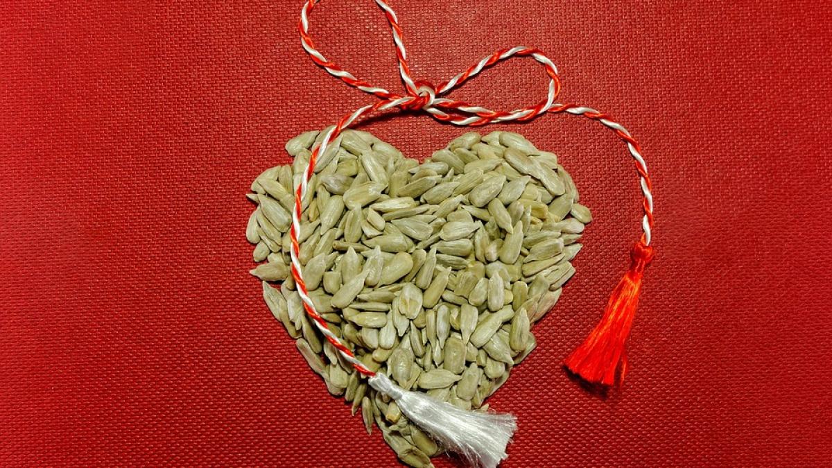 sunflower-seeds-6462712_960_720_71898100