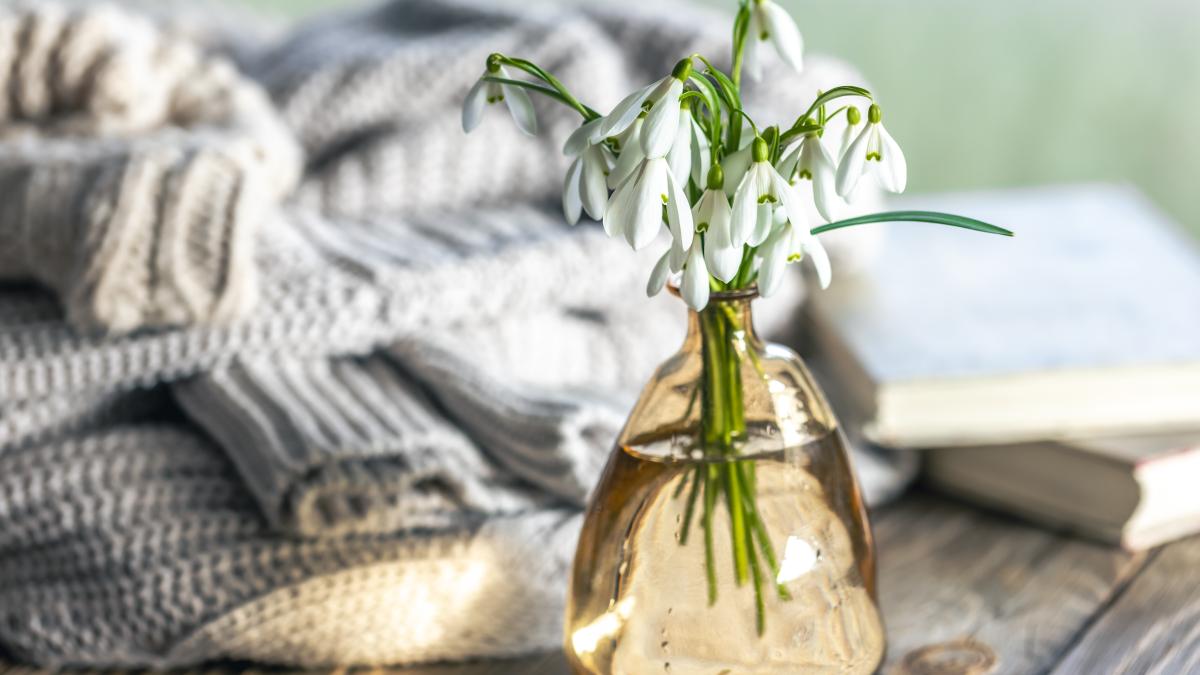 bouquet-snowdrops-glass-vase-blurred-background_01522100