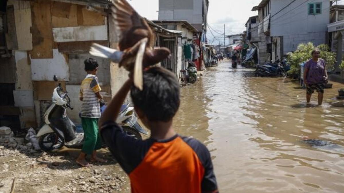 agerpres_15094608_39191500