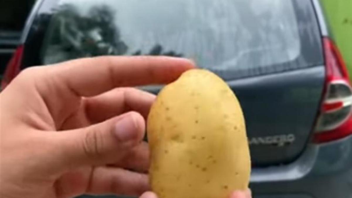 cartof_captura_45318200