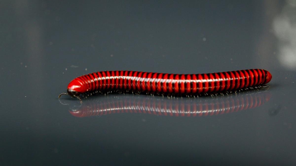 glen-carrie-0pweky1qfmq-unsplash_29904800