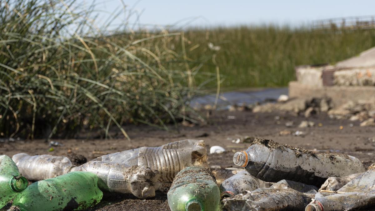 plastic-in-natura_71751900