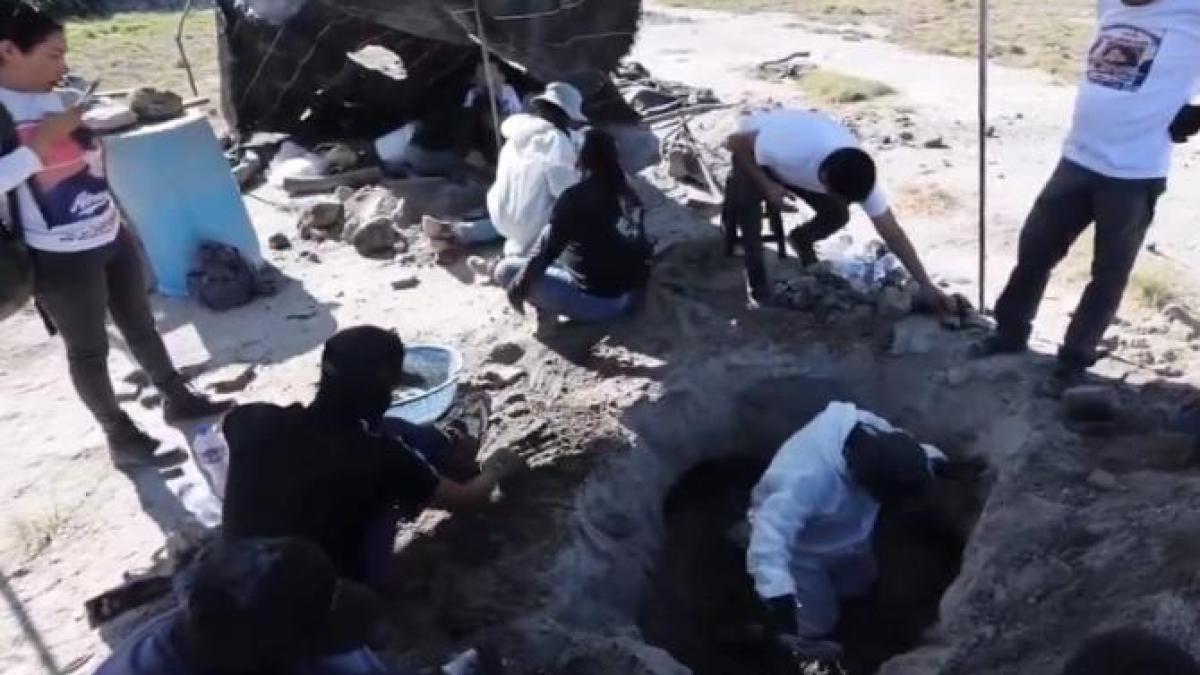 decoperire-macabra-ferma_43278300