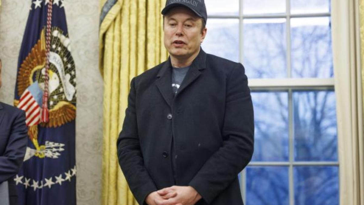 musk-casa-alba_24491200