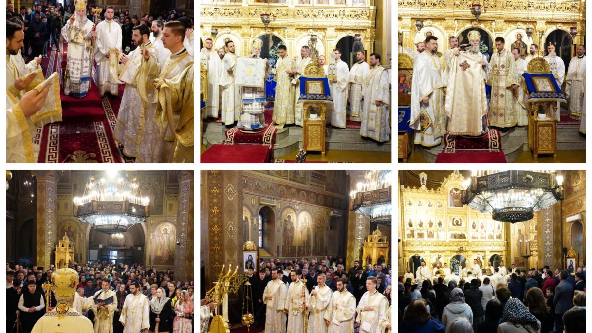 80104d19-43db-4d6e-835f-95f85c3e7006_37458600