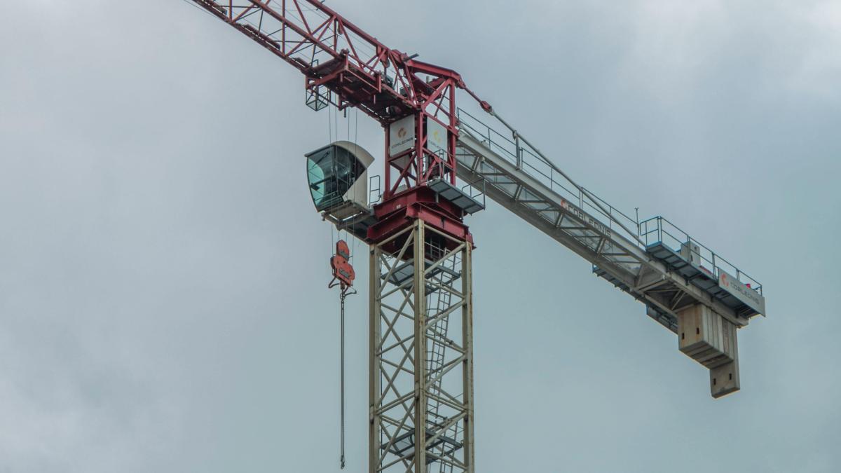 macara-pexels_02213200