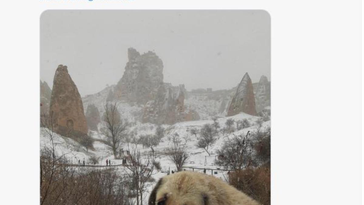 turcia-zapada_97324000