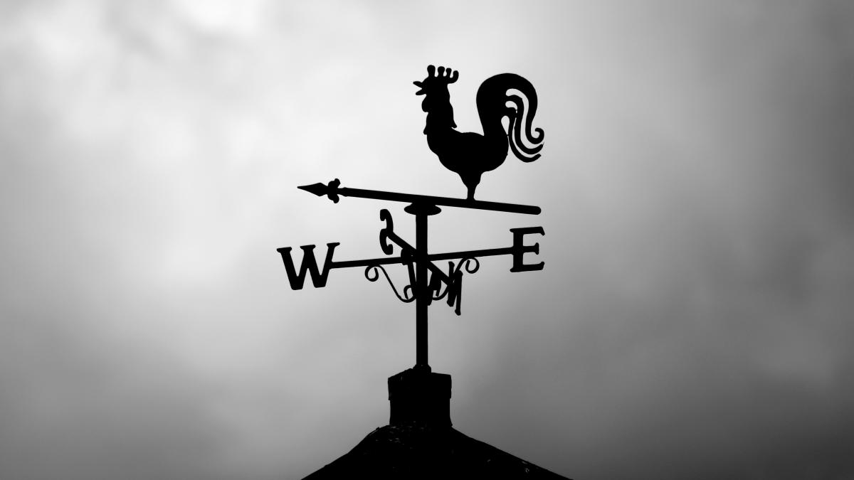 cod_rosu_vant_anm_oxl_08905700