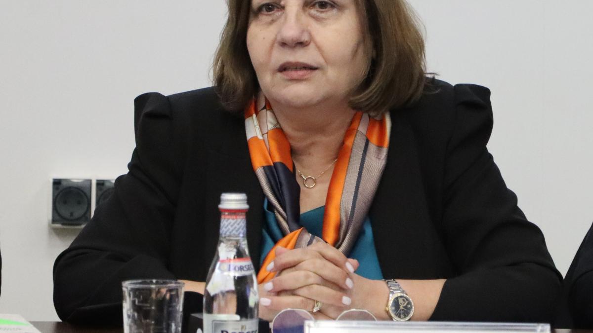 elena-mateescu5_95734500