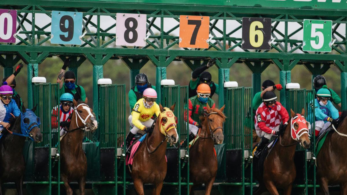 taylor-sondgeroth-f2flp9x51qi-unsplash_88600900