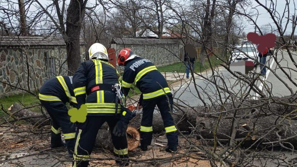 vant_puternic_igsu_09329100