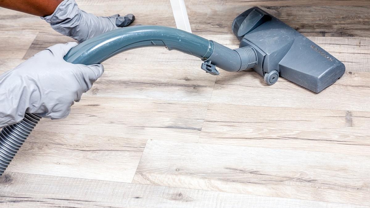 activitatile-gospodaresti-fiscalizate-in-urma-intrarii-in-vigoare-a-legii-prestatorului-casnic_54855400