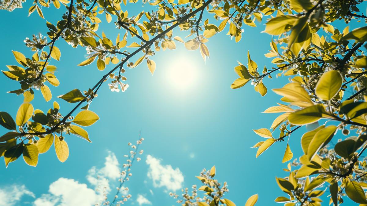 vreme-prognoza-meteo-primavara_33324300