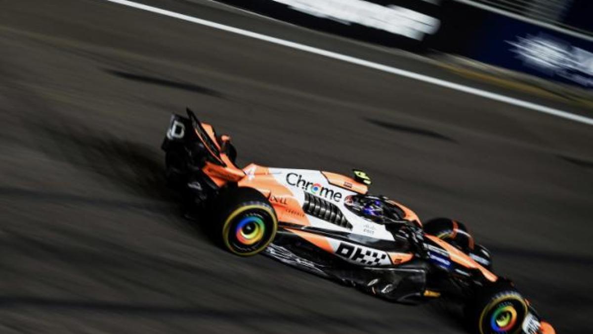 lando-norris_19871100