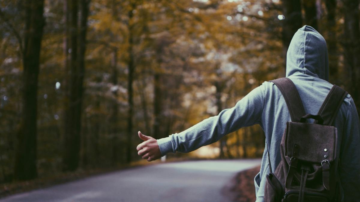 atlas-green-vgoiy1gzzyg-unsplash_72179500