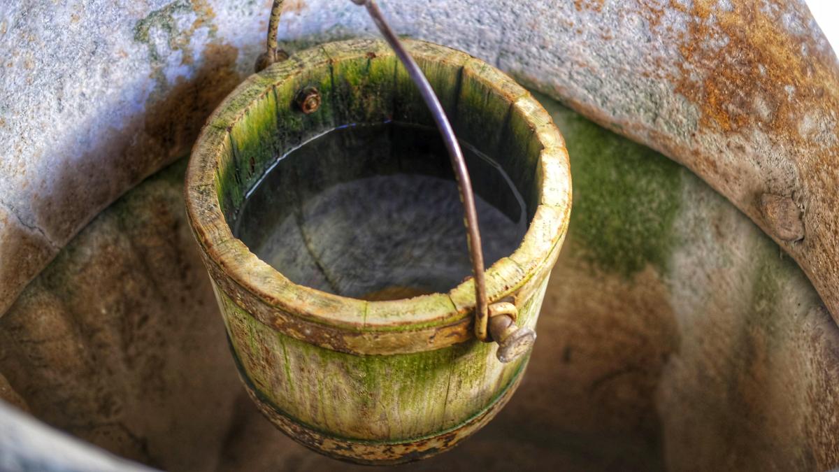 galeata-fantana_41004800