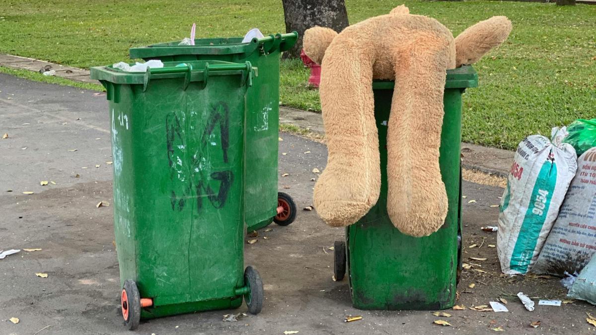 curatenie-parc-tomberoane_96607500