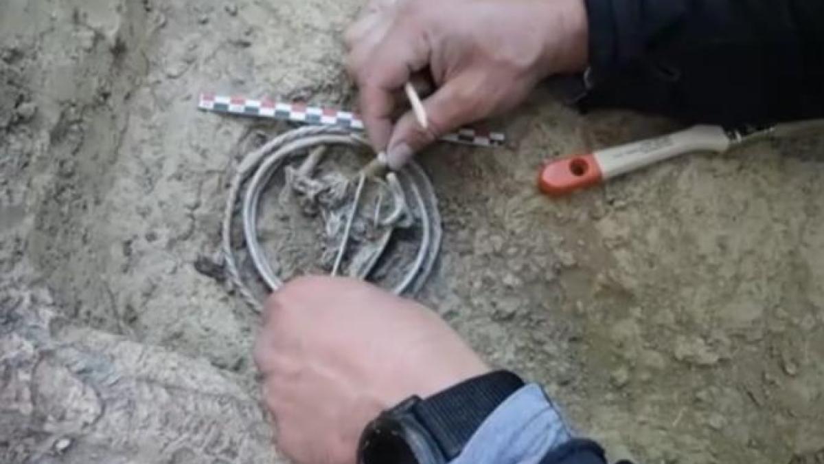 tezaur-dacic-mures1_05173000