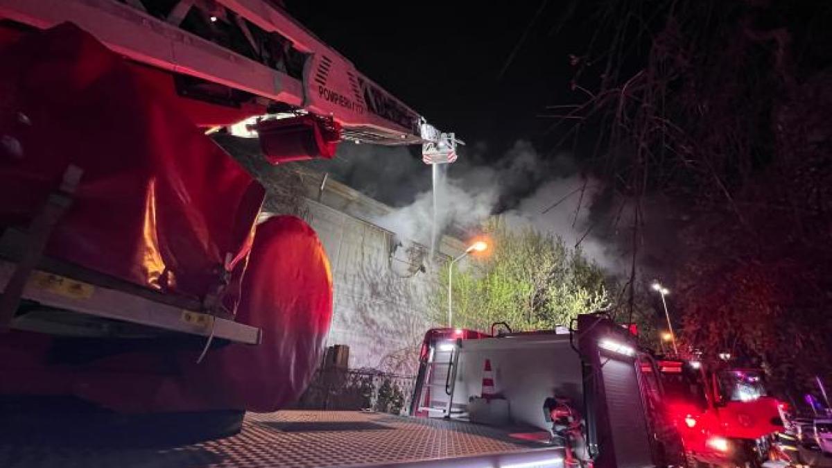 whatsapp-image-2025-04-12-at-08-26-52_04939300