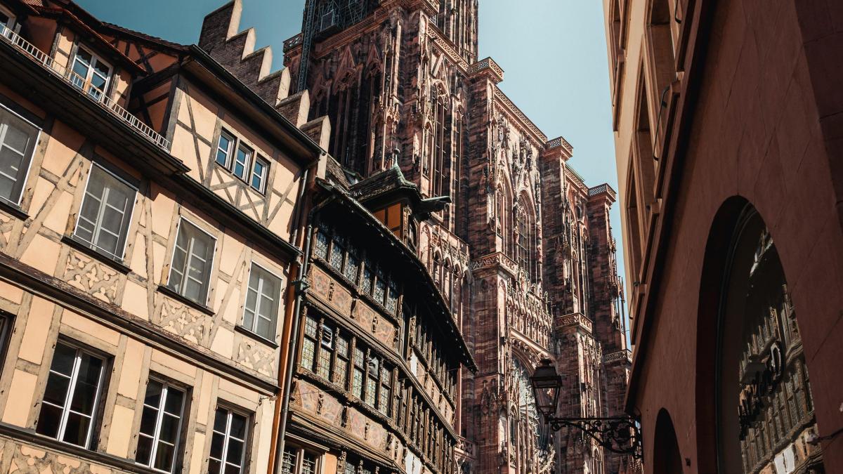 pexels-jose-joseph-2151147364-31602709_63470100