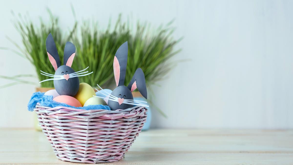 cute-creative-photo-with-easter-eggs-some-eggs-as-easter-bunny_41421600
