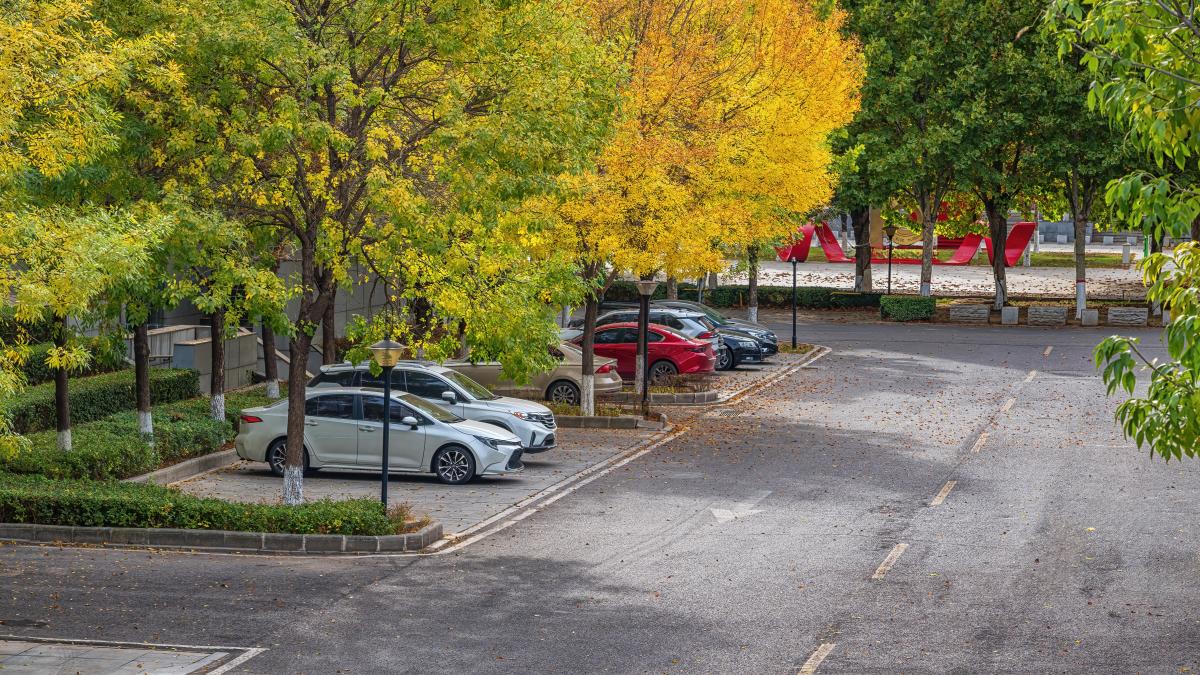 cum-vrea-daniel-baluta-sa-rezolve-problema-parcarilor-si-a-bulevardelor-pentru-prima-data--cineva-a-explicat-cum-reusim-sa-nu-mai-avem-masini-pe-strada_15482700