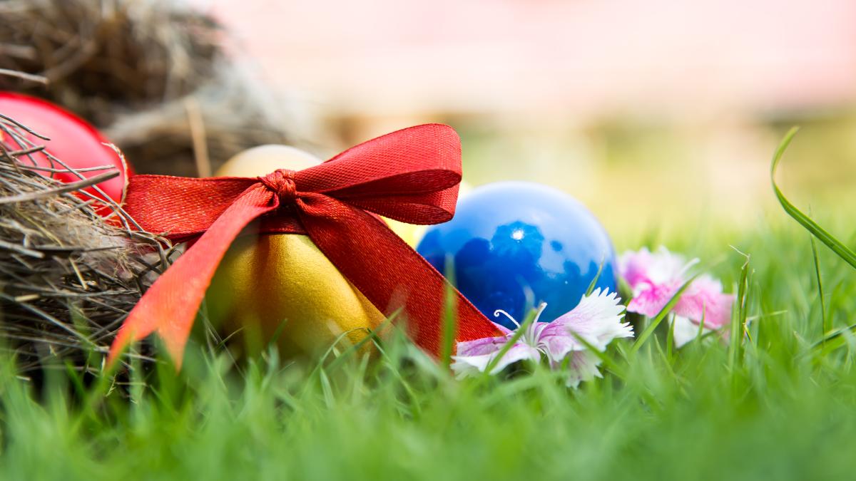 easter-eggs-nest-green-grass_97462300