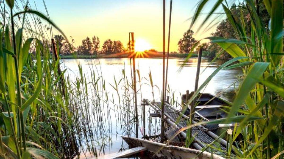 freepik__adjust__45214_57904300