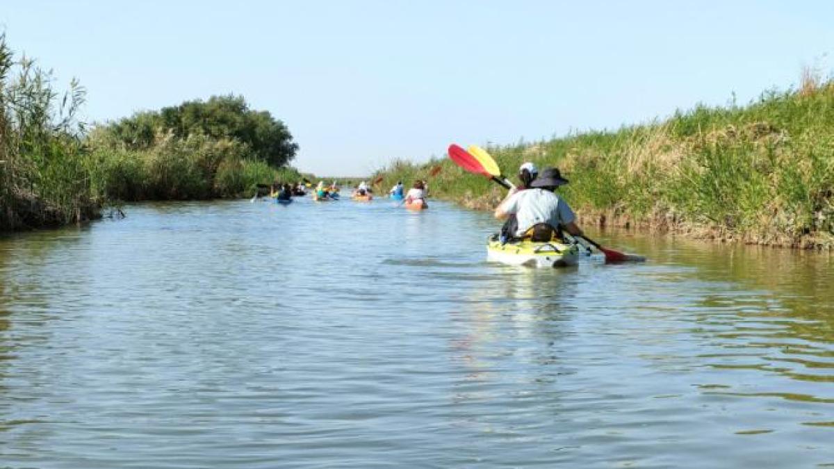 delta-dunarii_52704400