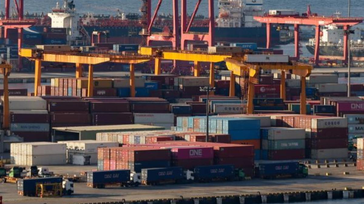 import-colete-vama_63270200