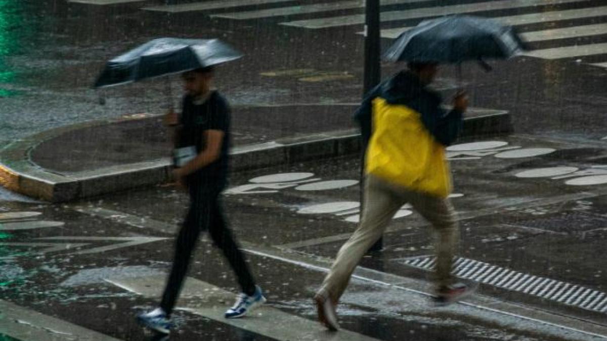 vremea-in-minicavanta-de-1-mai_58139400