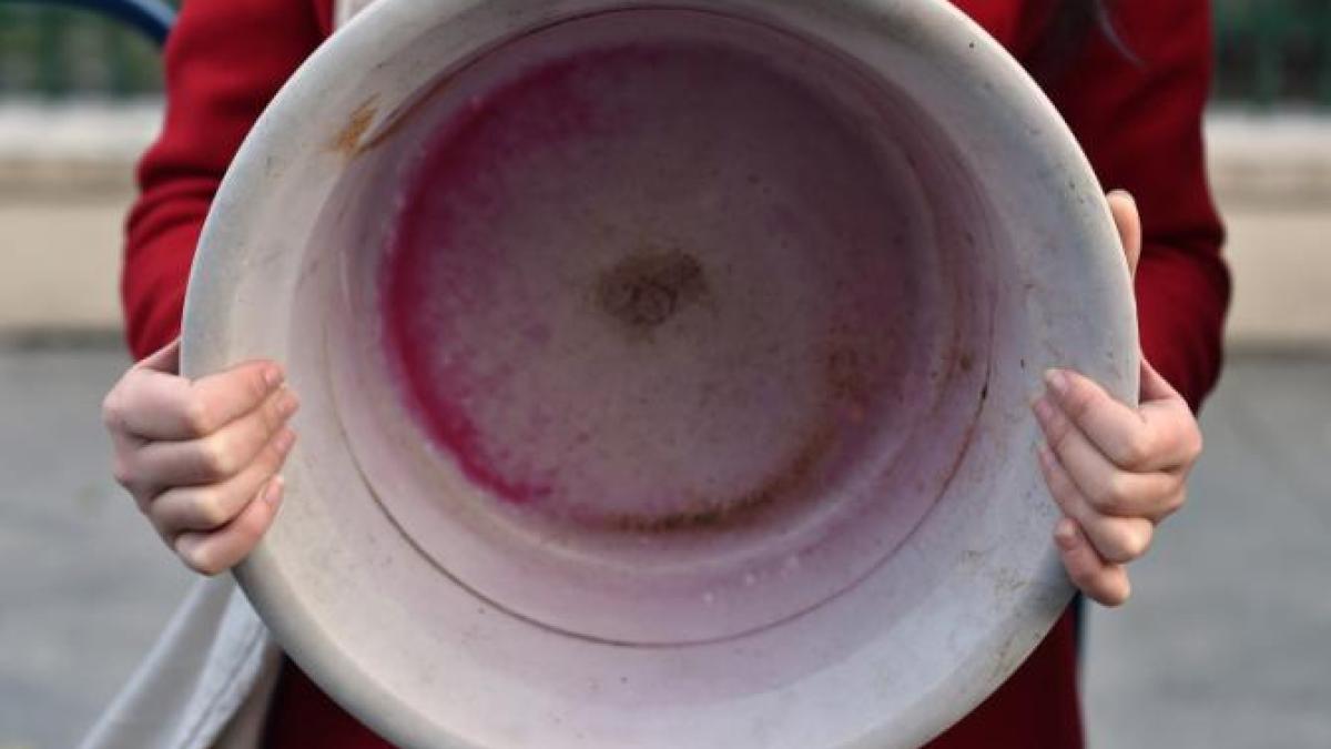 apa-calda-lighean_09188800