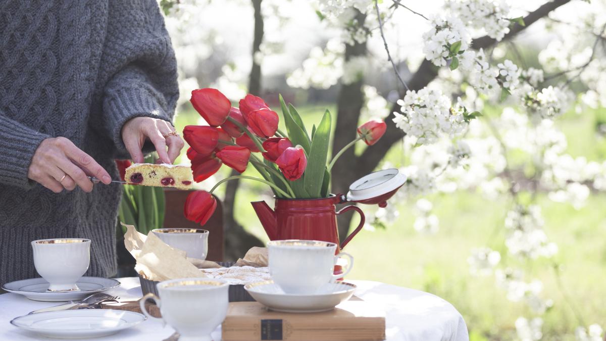 breakfast-spring-garden_07258700