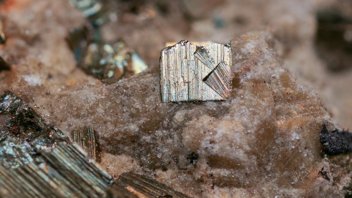 pamanturi-rare-suedia_13948000