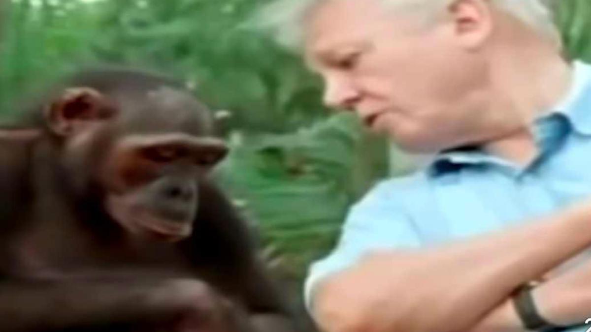 david-attenborough_05310600