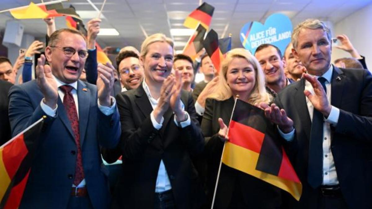 afd-alice-weidel_61140300