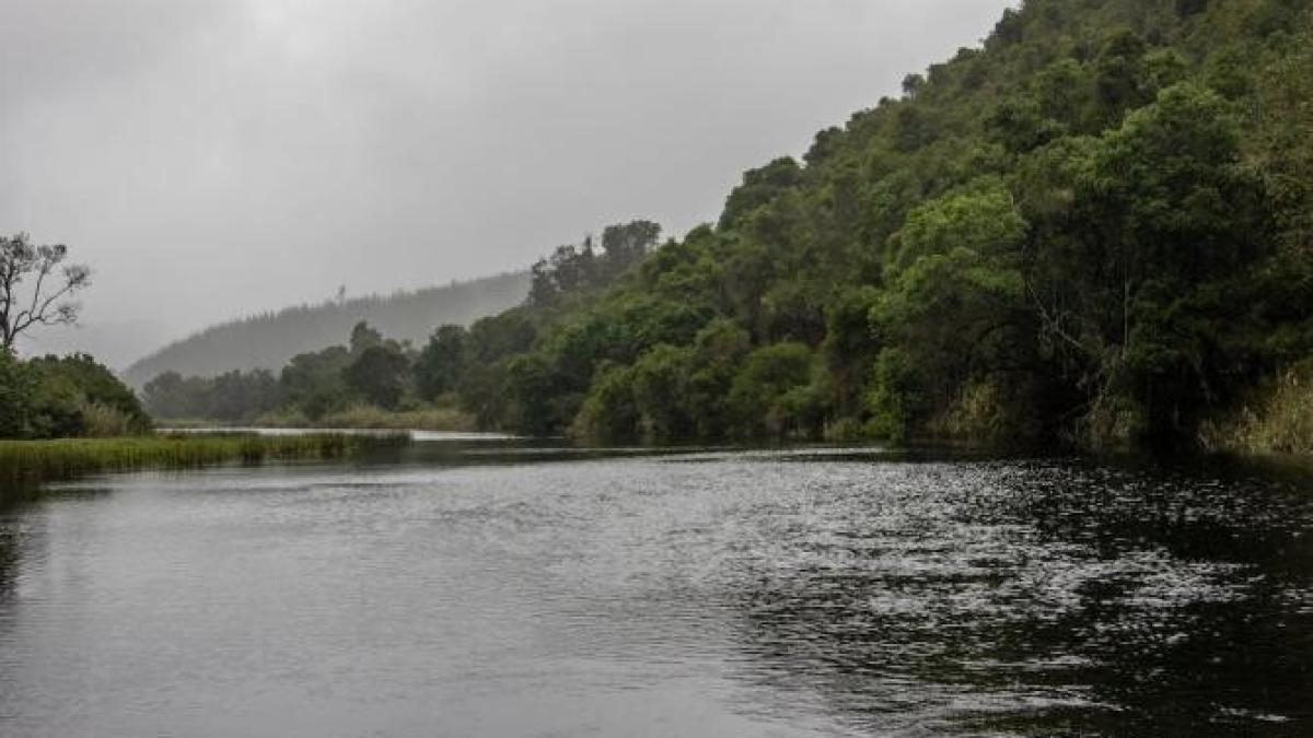cod-galben-de-inundatii-pe-raurile-din-alba-si-valcea_97910000